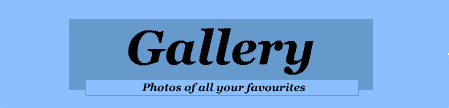 Gallery Logo